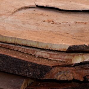 tronco de madera dura noble